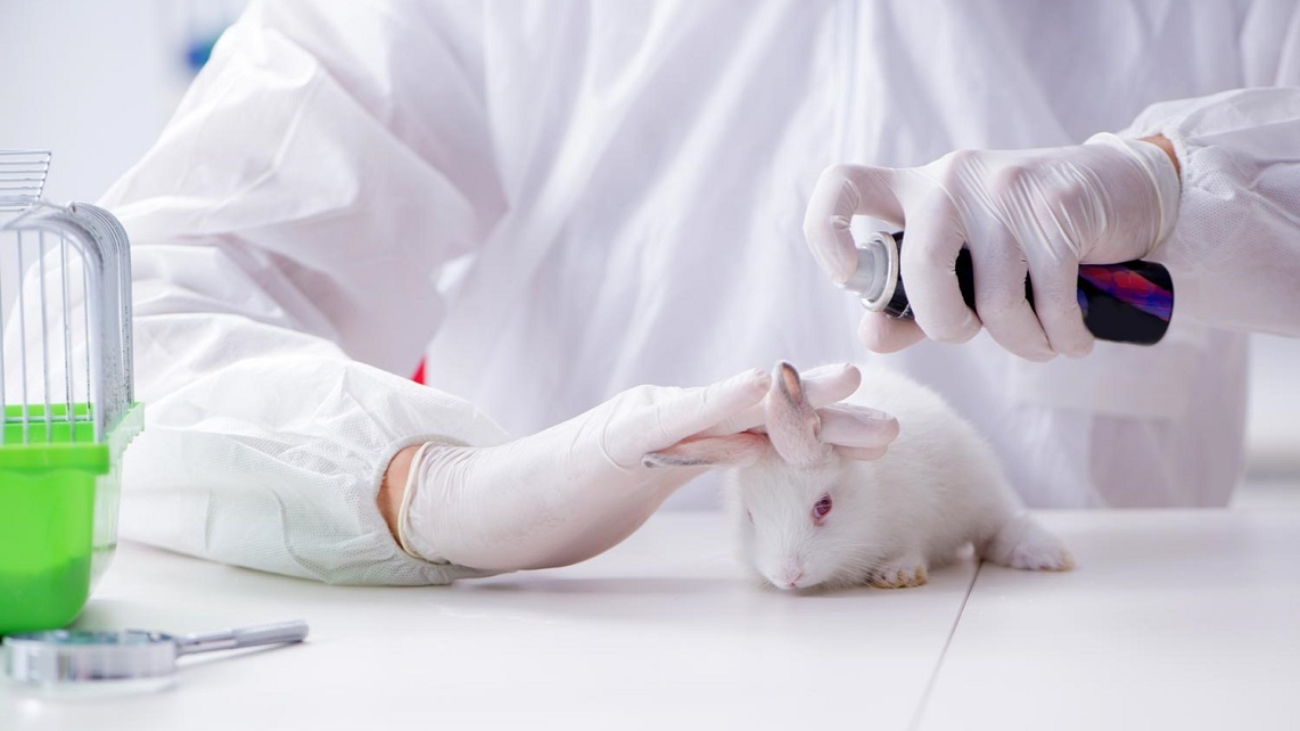 did-china-really-end-animal-testing-2019